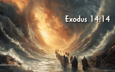 The Battle is Not Ours: Trusting God’s Sovereignty