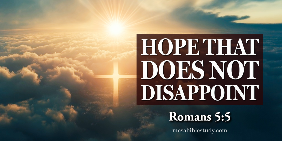 hope that does not dissappoint-3