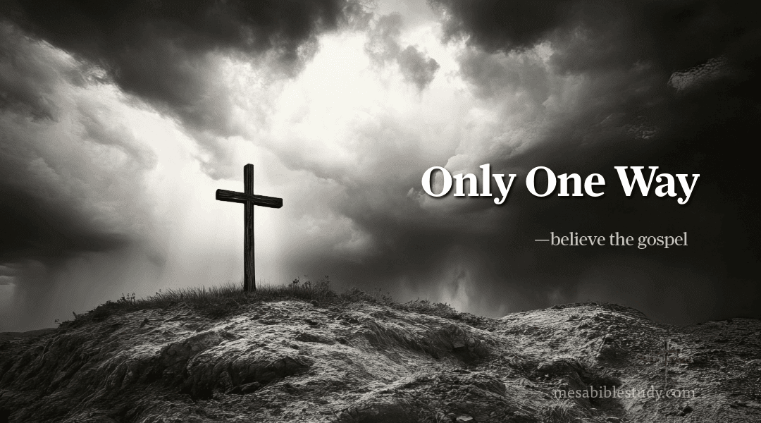 The Only Way to Heaven — Believe the Gospel