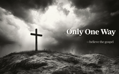 The Only Way to Heaven — Believe the Gospel