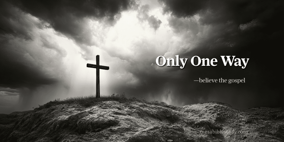 The Only Way Into Heaven