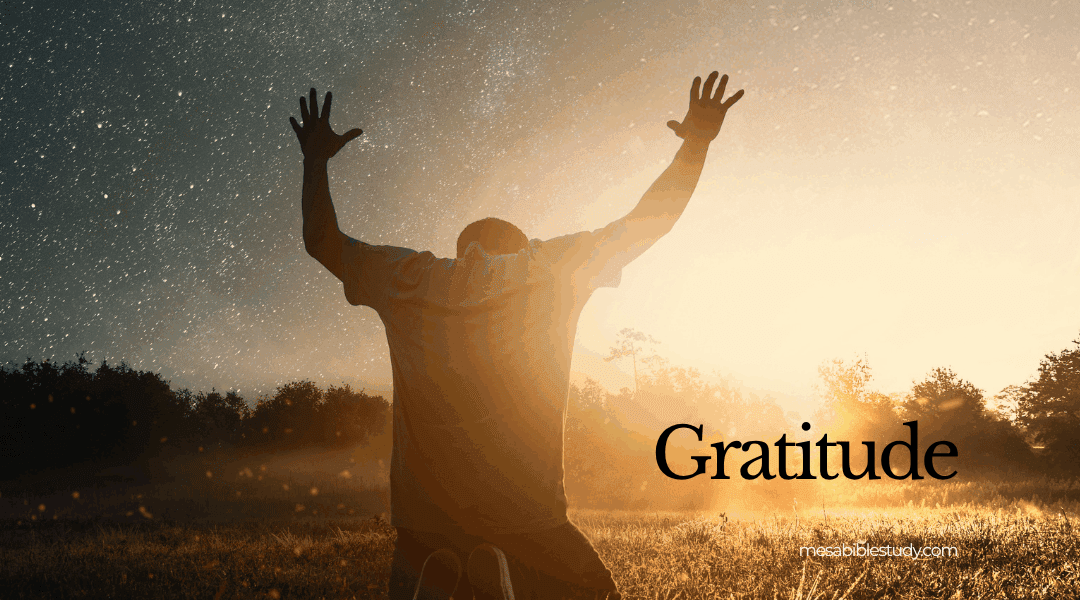 Devotional: A Constant State of Gratitude