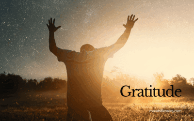 Devotional: A Constant State of Gratitude