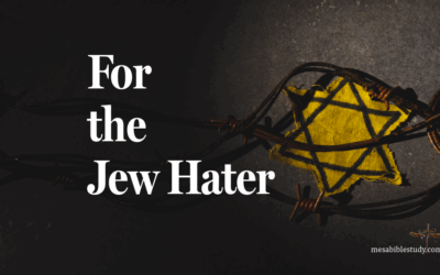 So, You Hate the Jews Now?