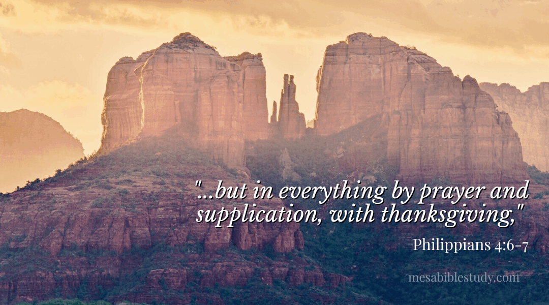 Devotional: Thankfulness Opens the Heart to Prayer