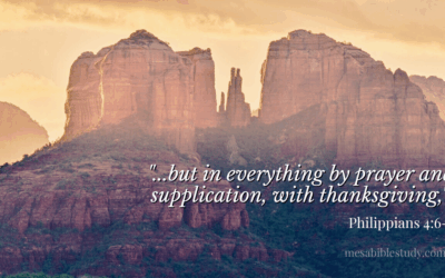 Devotional: Thankfulness Opens the Heart to Prayer