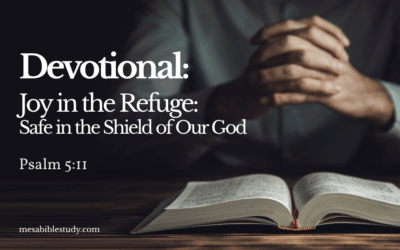 Joy in the Refuge: Safe in the Shield of Our God