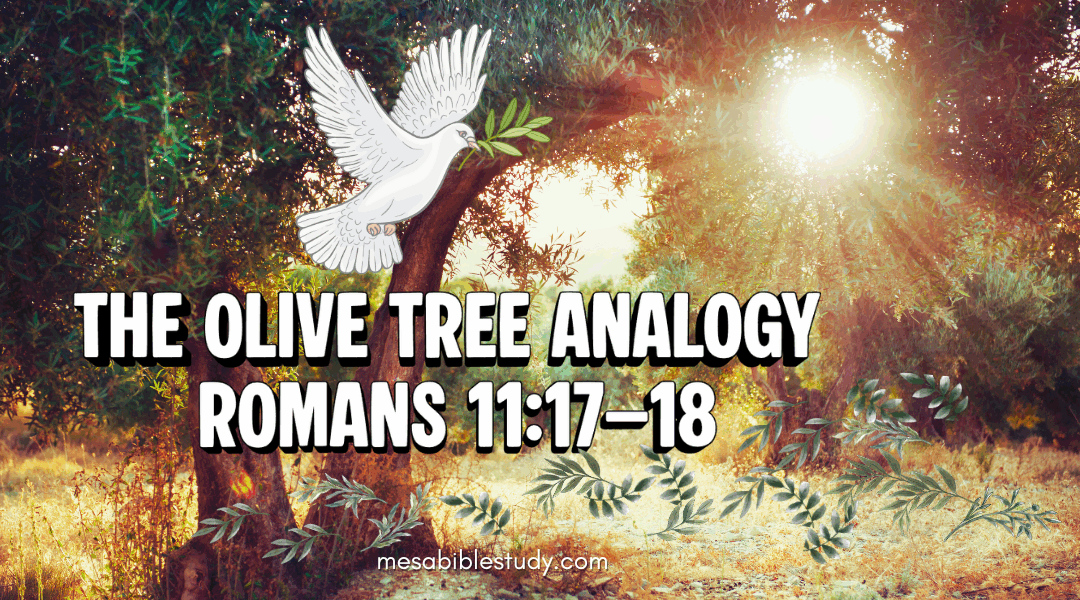 Israel and the Olive Tree Analogy (Romans 11:17–18)
