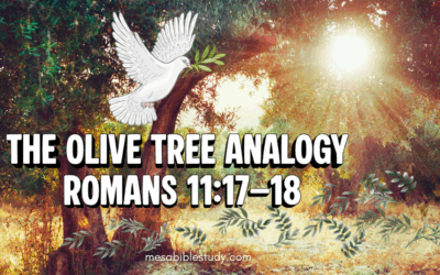 Israel and the Olive Tree Analogy (Romans 11:17–18)