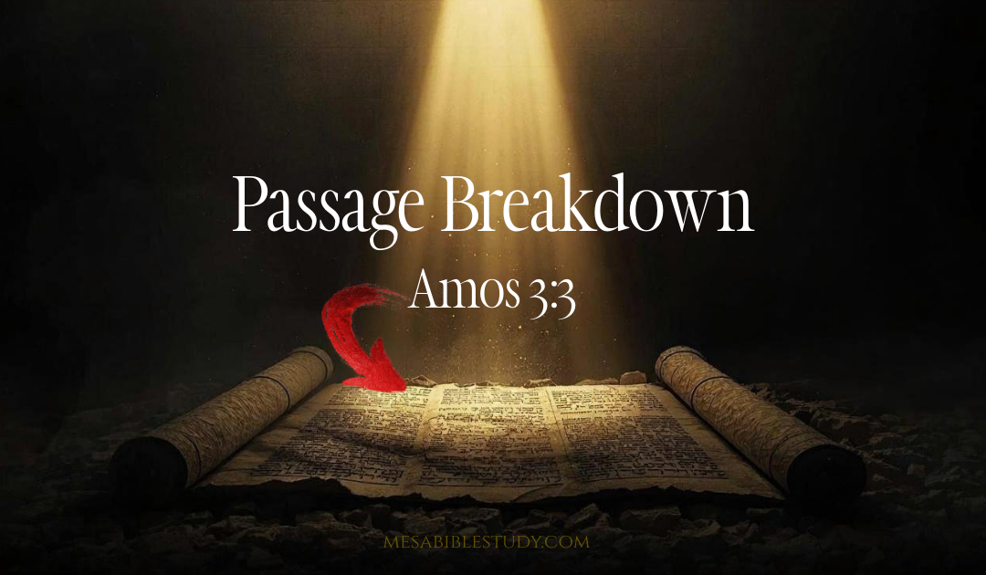 Can God Walk with a Nation in Rebellion? Understanding Amos 3:3