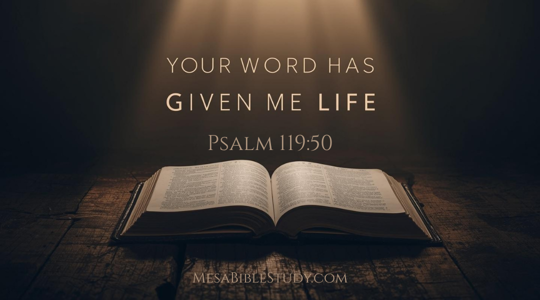 Devotional: Comfort That Gives Life: God’s Word in Affliction