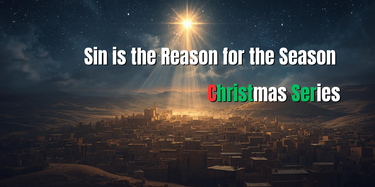 Sin is the Reason for the Season Christmas Series