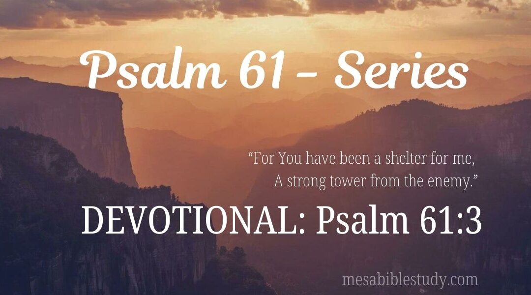 DEVOTIONAL: Psalm 61:3 – When Fear Rises, Remember