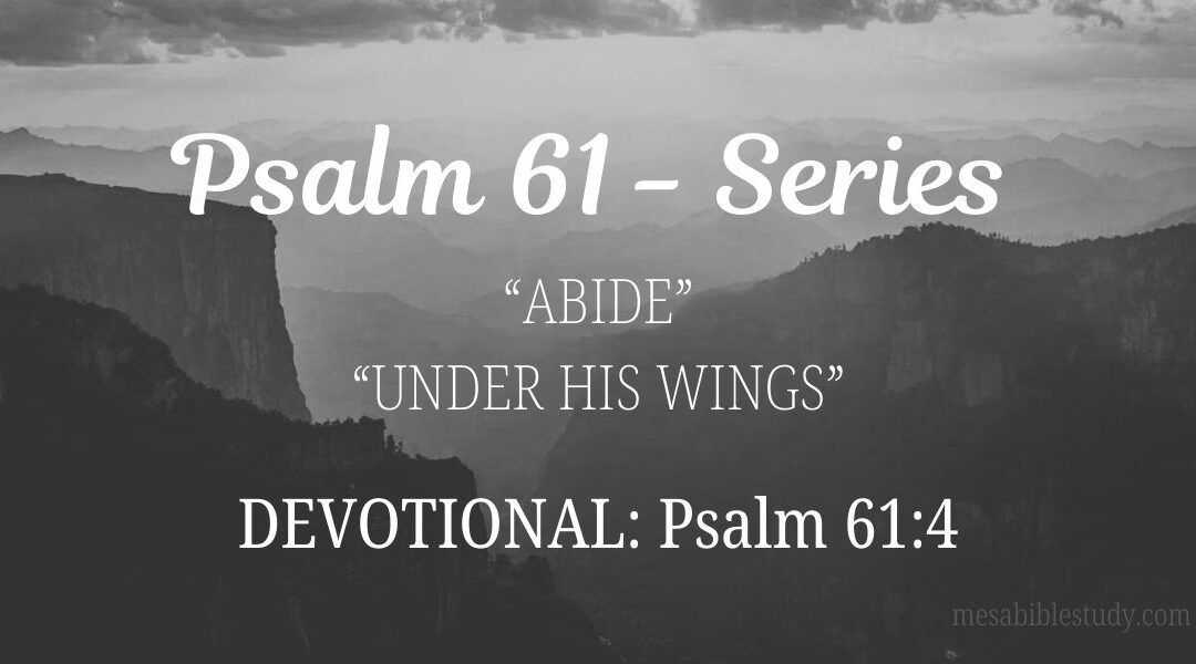 Psalm 61:4 — Under the Shelter of His Wings