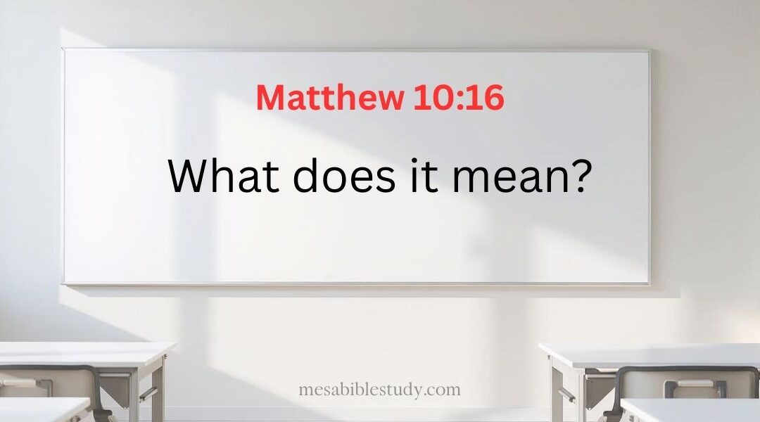 Matthew 10:16 — What Does It Mean? | Passage Breakdown