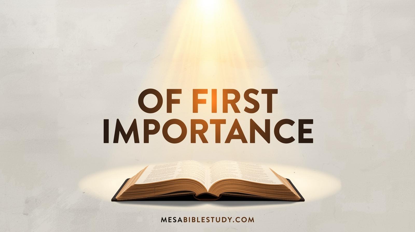 A Olive tree representing God's promises to Israel and Christendom trying to up root the Olive tree