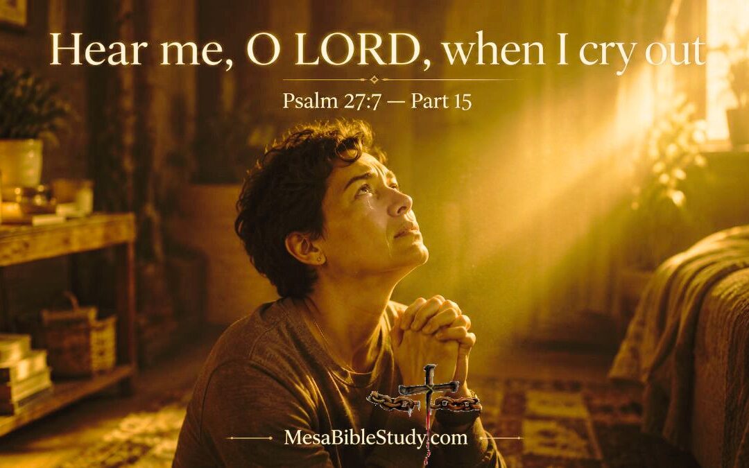 Devotional: Hear Me, O LORD, When I Cry Out – Part 15