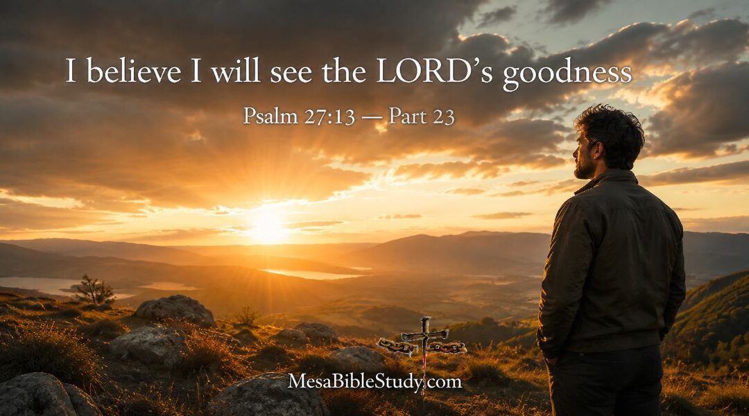 Devotional: I Believe I Will See the LORD’s Goodness